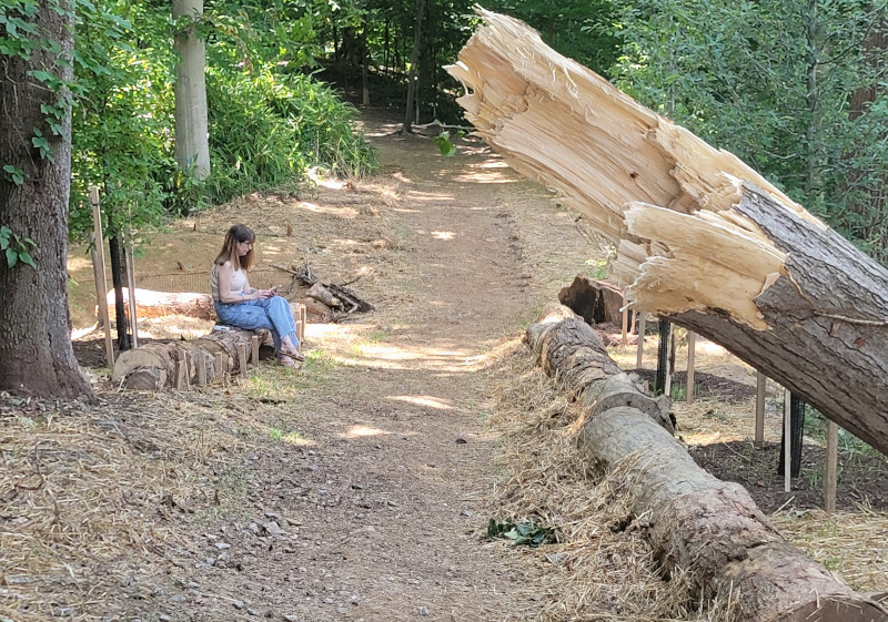 Opinion DC Water must address hazardous conditions at the Soapstone