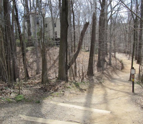 3020 Albemarle, from the entrance to the Soapstone Valley Trail.