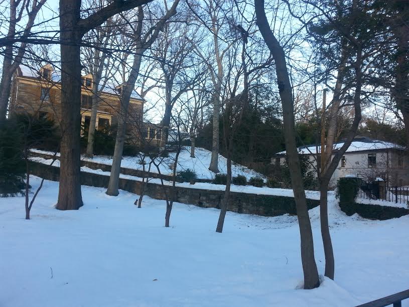Another view of the property's sloping lawn and driveway. (photo by Marjorie Share)