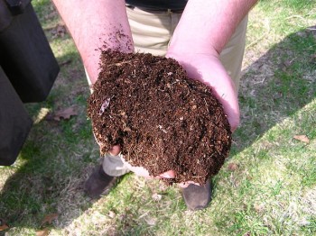 Compost. (Photo courtesy of Wikimedia Commons)