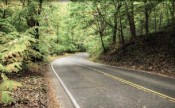 Broad Branch Road