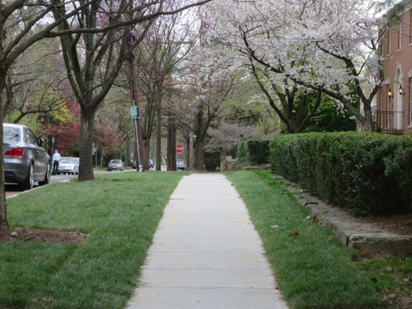 New Grass on 32nd Street
