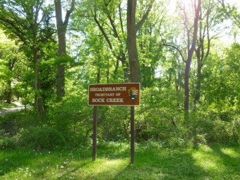 Broad Branch tributary sign at 36th and Nevada