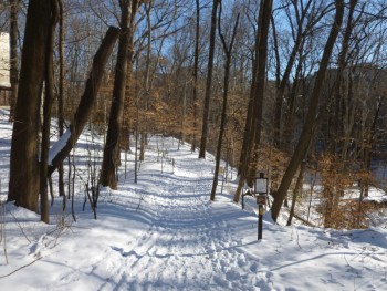 Snowy Soapstone