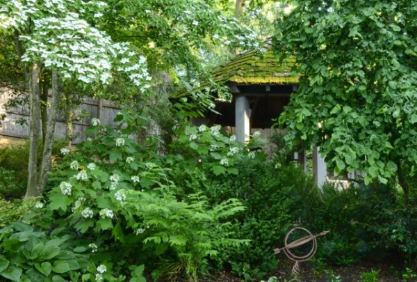 Solomon garden 1