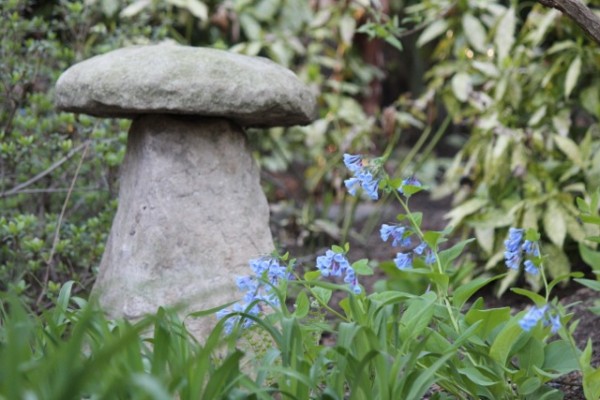 Solomon garden 3