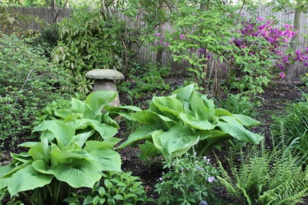 Solomon garden 6