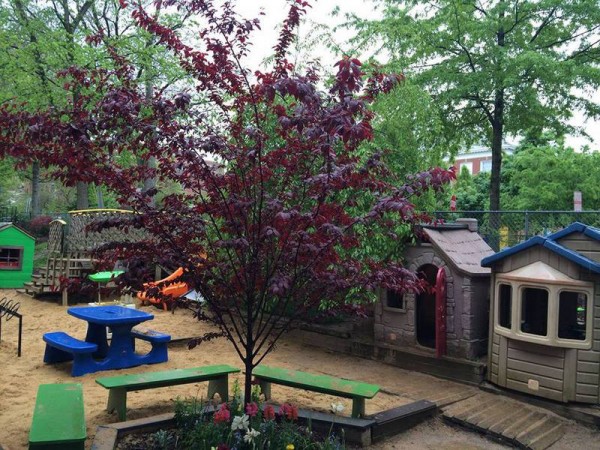 The outdoor playground shows the love of generations of parents who have joined us to plant trees and flowers and build play structures.
