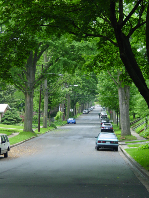 A typical street in Wakefield.
