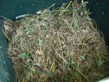 Materials in a compost pile (photo courtesy of Wikimedia Commons)