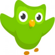 Duolingo's owl mascot.