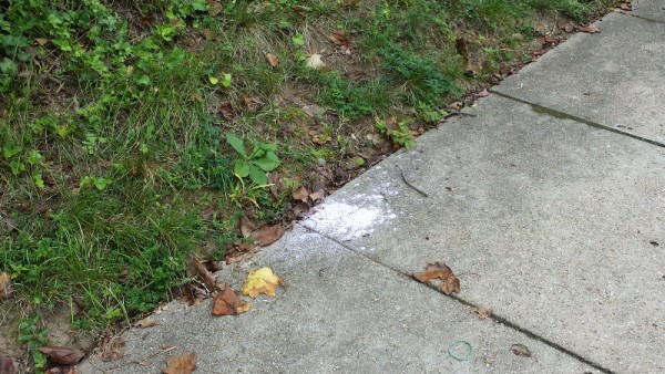 flour pile
