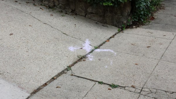 flour x