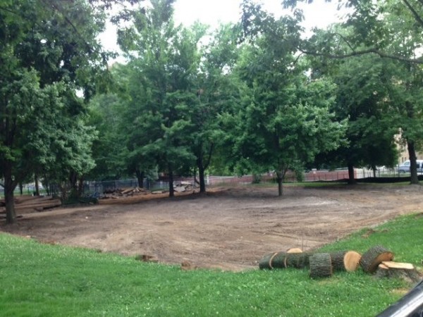 Near the end of demolition, week two, all of the playground equipment had been removed along with some disease trees.